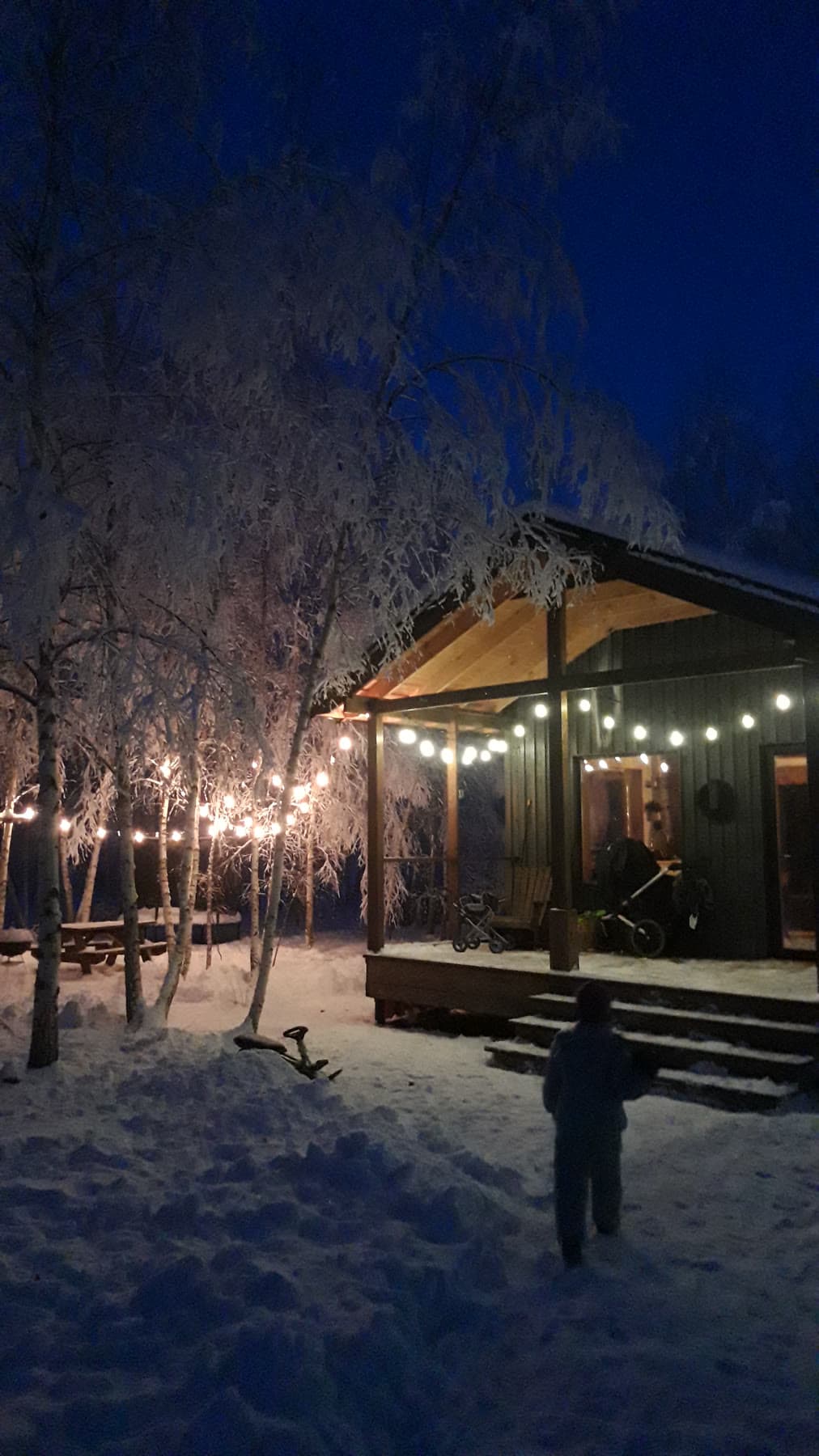 Первый снег